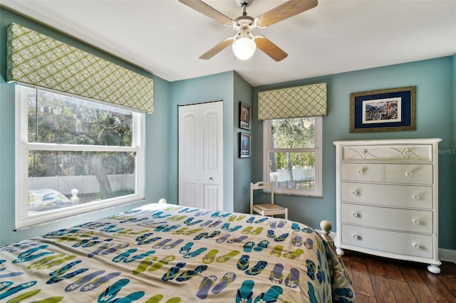 bedroom featuring multiple windows, dark hardwood / wood-style flooring, a closet, and ceiling fan