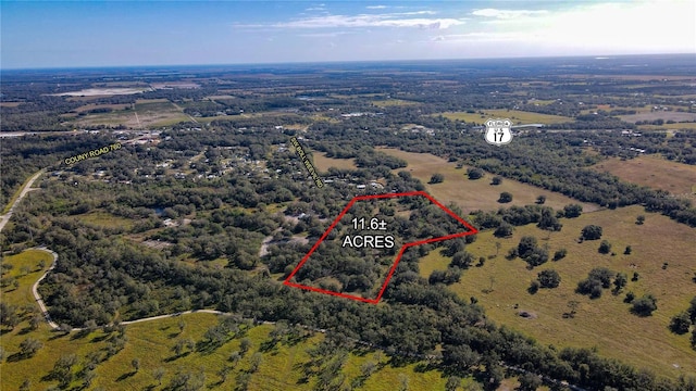 SW Boll Weevil Rd, Arcadia FL, 34266 land for sale