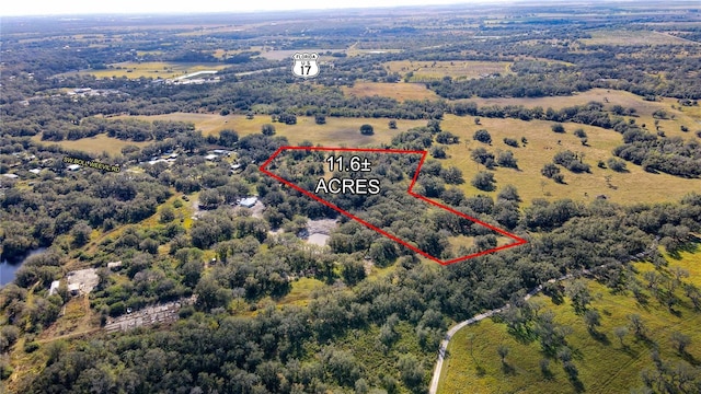 Listing photo 3 for SW Boll Weevil Rd, Arcadia FL 34266