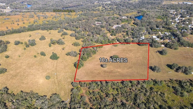 SW Boll Weevil Rd, Arcadia FL, 34266 land for sale