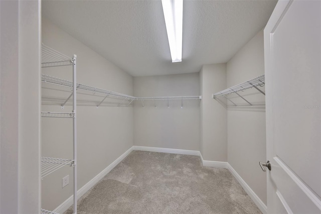 walk in closet with carpet