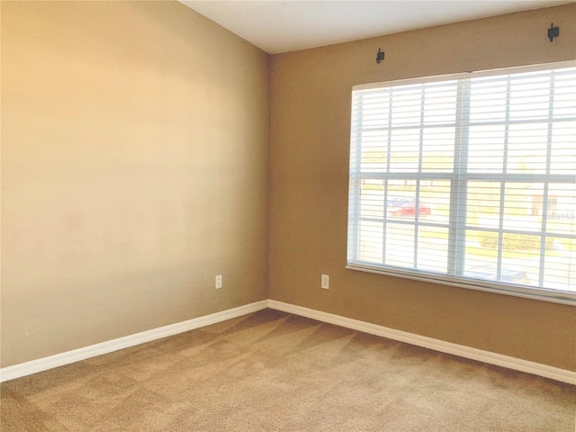 spare room with carpet floors