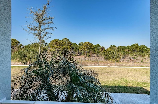 811 Winterside Dr, Apollo Beach, FL 33572 - view of grassy yard