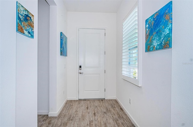 811 Winterside Dr, Apollo Beach, FL 33572 - hall with light wood-style floors and baseboards