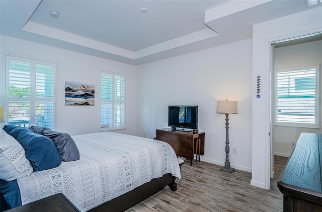 811 Winterside Dr, Apollo Beach, FL 33572 - bedroom with a tray ceiling and wood finished floors