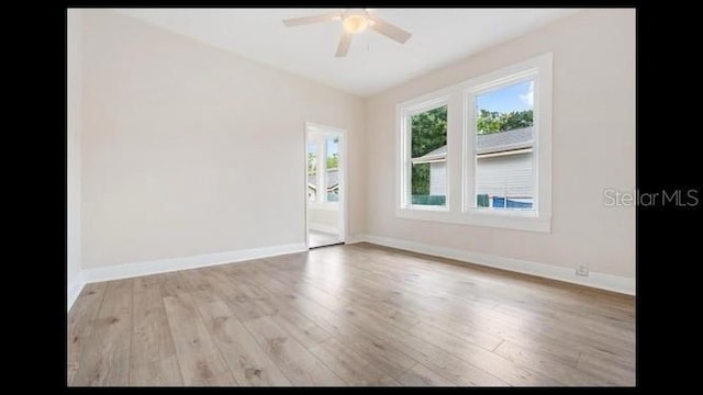 spare room with ceiling fan and light hardwood / wood-style flooring