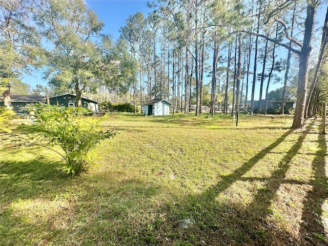 view of yard with a storage unit