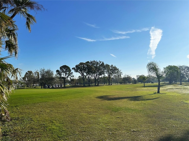 surrounding community featuring a yard