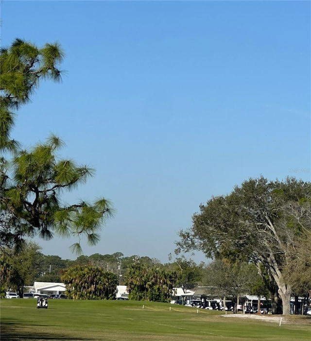 view of community with a yard