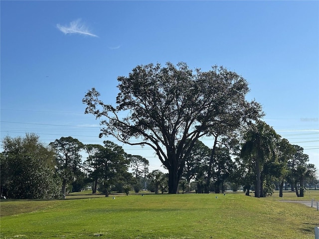 surrounding community with a yard