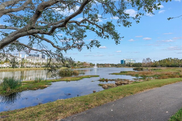 650 Saxony Blvd, Saint Petersburg, FL 33716 - photo 48