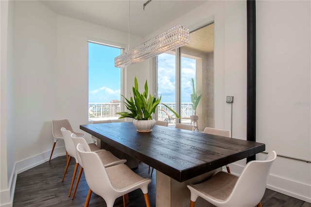 dining space with dark hardwood / wood-style flooring