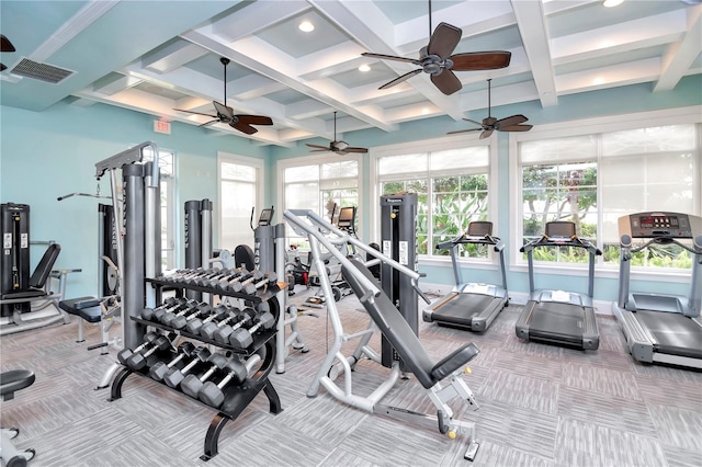 exercise room featuring coffered ceiling, a wealth of natural light, and light colored carpet