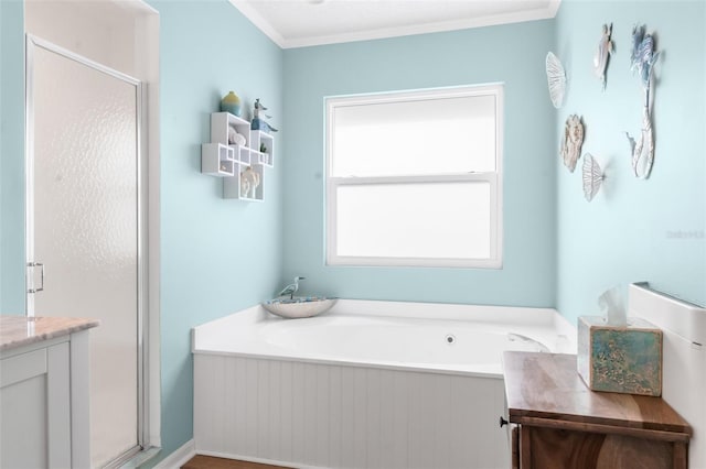 bathroom featuring ornamental molding, vanity, and independent shower and bath