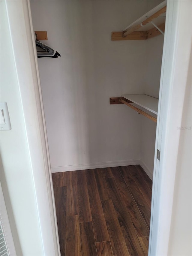 walk in closet featuring dark wood-type flooring