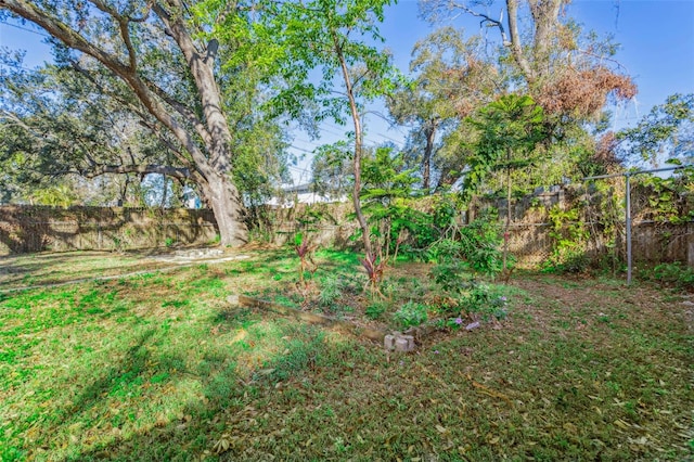 view of yard featuring a fenced backyard