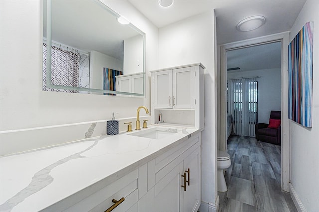 bathroom with vanity, hardwood / wood-style flooring, and toilet