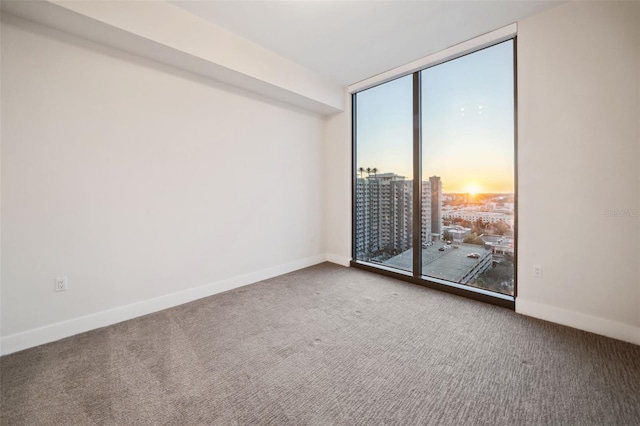 unfurnished room with expansive windows and carpet floors