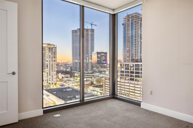 carpeted spare room featuring expansive windows