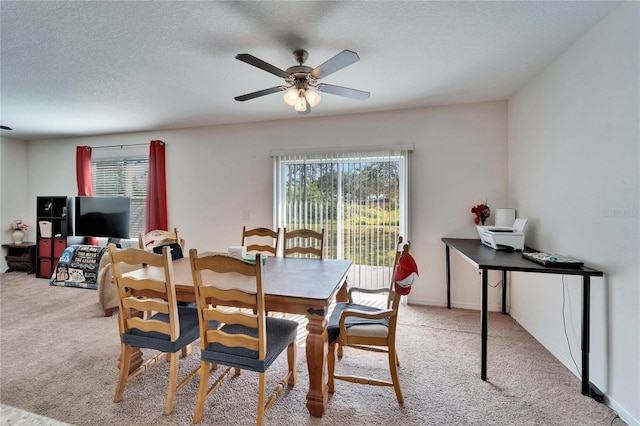 dining room featuring a wealth of natural light, light carpet, and a textured ceiling