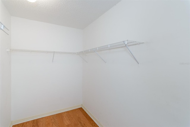 spacious closet featuring hardwood / wood-style flooring