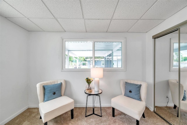 living area featuring a healthy amount of sunlight, a drop ceiling, and carpet flooring