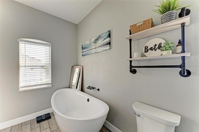 bathroom with toilet and a bathing tub