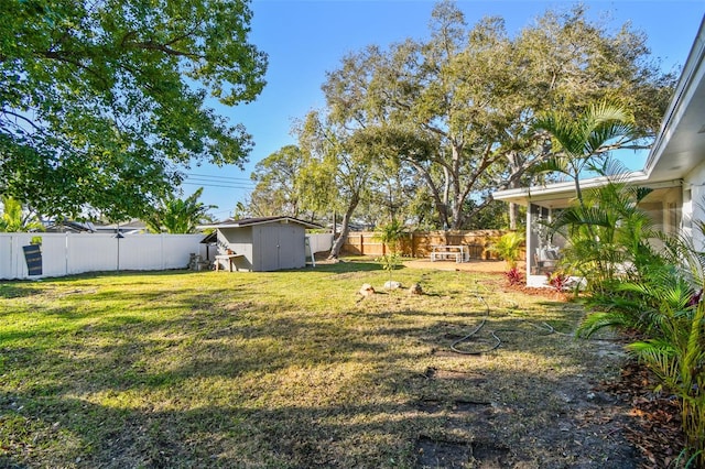 view of yard with a shed