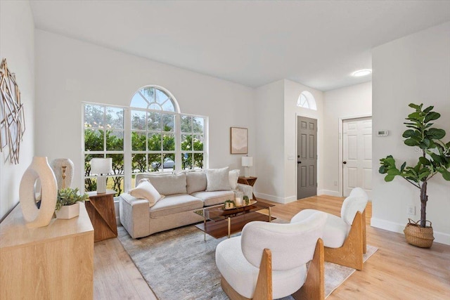 living room featuring light hardwood / wood-style floors