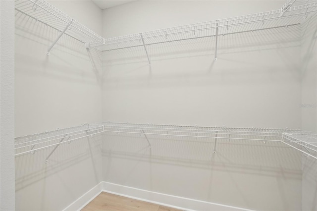 spacious closet featuring hardwood / wood-style floors