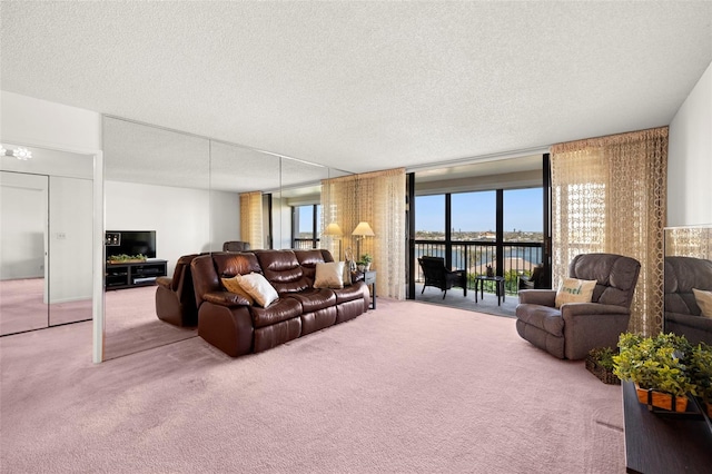 living room featuring carpet flooring and a textured ceiling