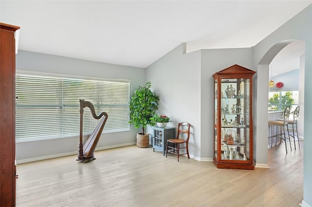 workout room with vaulted ceiling and light hardwood / wood-style flooring