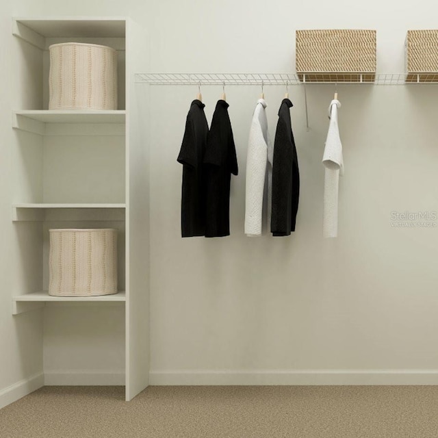 mudroom featuring carpet