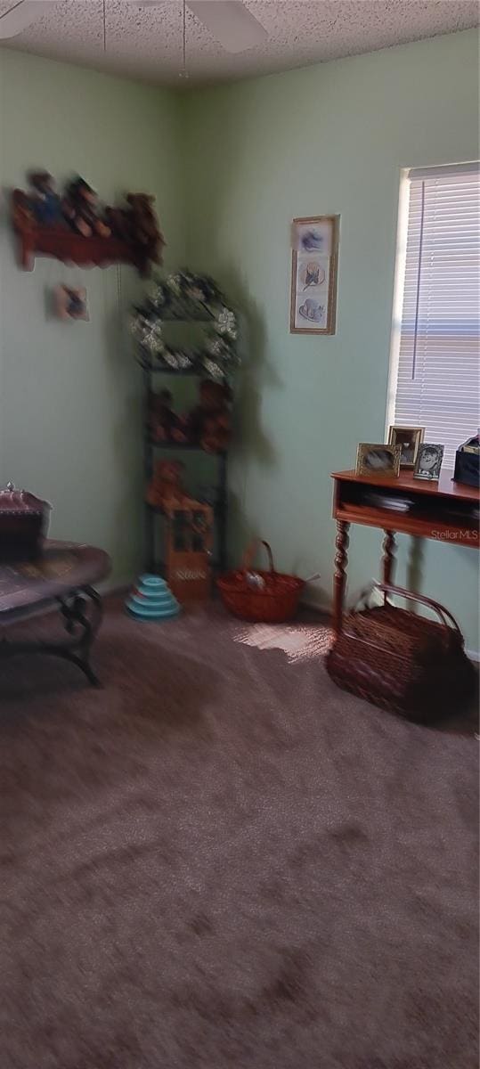 interior space featuring carpet flooring and a textured ceiling