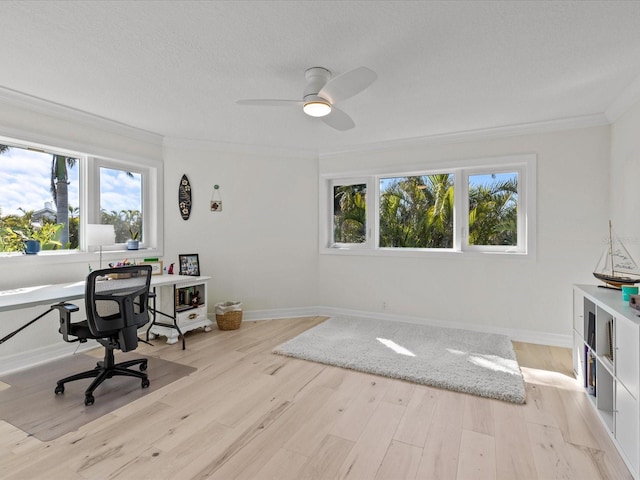 home office featuring ceiling fan, ornamental molding, a textured ceiling, and light wood-type flooring