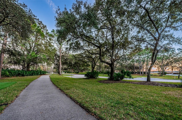 view of property's community with a yard