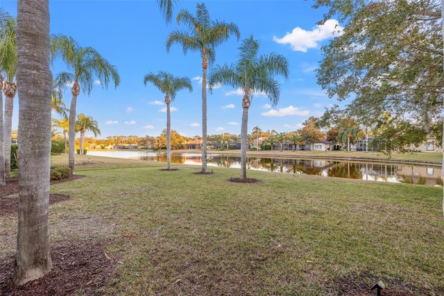 view of yard with a water view