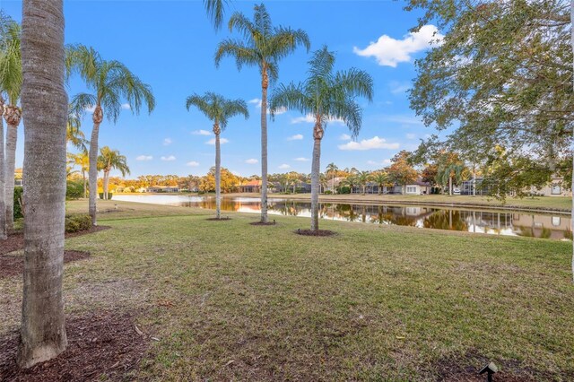 3830 Moreno Dr, Palm Harbor, FL 34685 - photo 61
