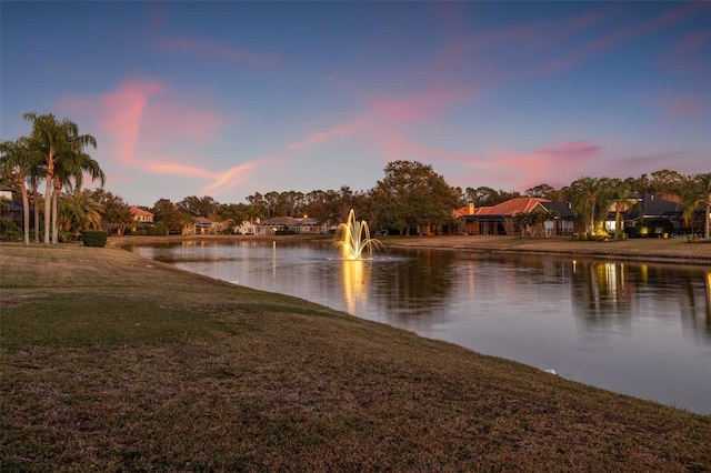 3830 Moreno Dr, Palm Harbor, FL 34685 - photo 2