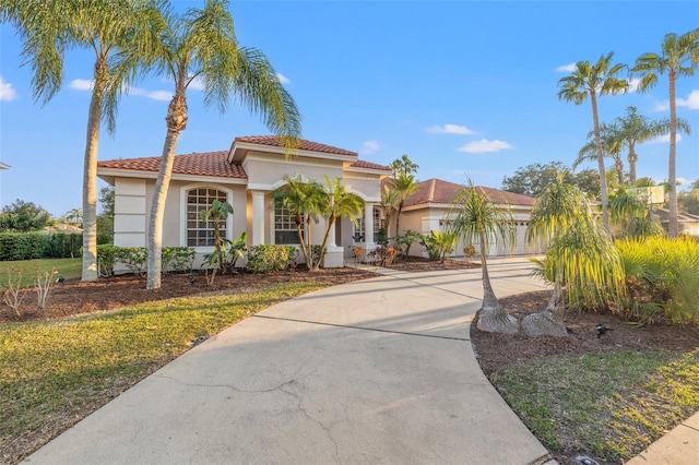 3830 Moreno Dr, Palm Harbor, FL 34685 - photo 11