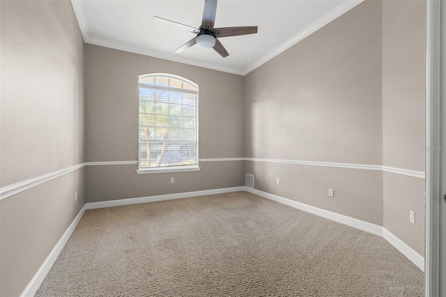 3830 Moreno Dr, Palm Harbor, FL 34685 - photo 45