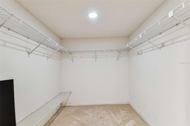 spacious closet featuring light colored carpet