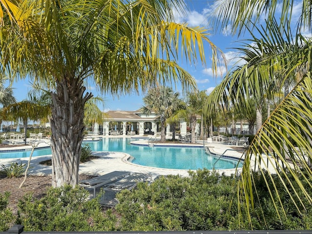 view of swimming pool with a patio area