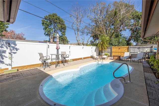 view of swimming pool with a patio