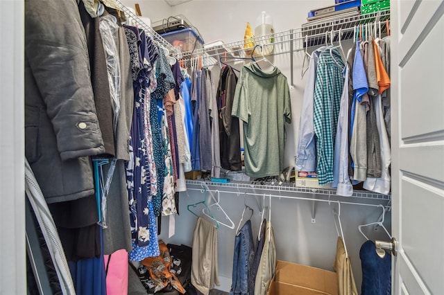 view of spacious closet