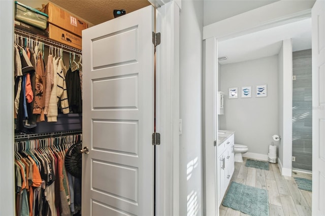 bathroom with vanity, wood-type flooring, and toilet