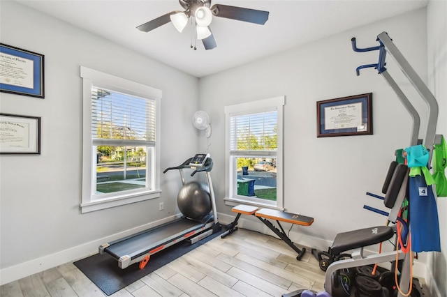 exercise room featuring light hardwood / wood-style flooring and ceiling fan