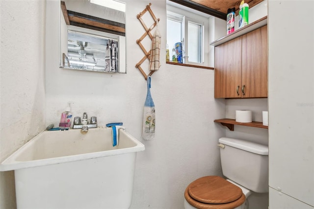 bathroom with toilet and sink