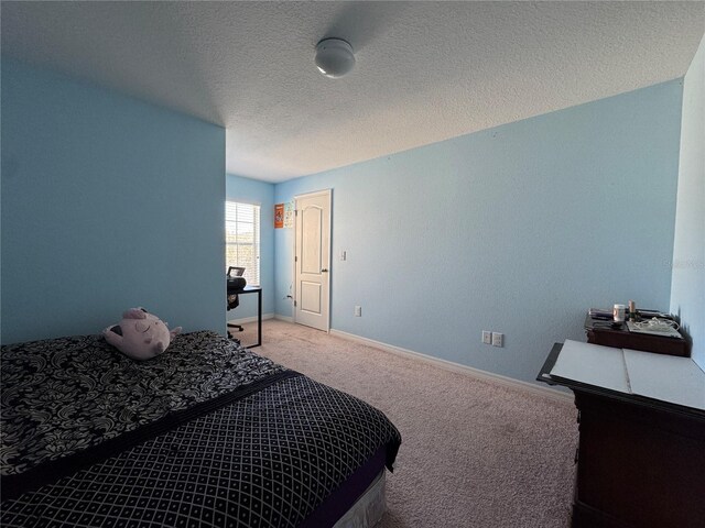 20314 Starfinder Way, Tampa, FL 33647 - carpeted bedroom featuring a textured ceiling