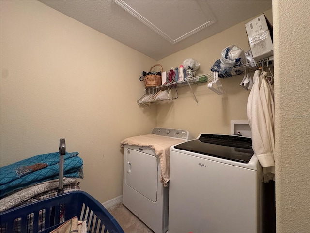 20314 Starfinder Way, Tampa, FL 33647 - laundry area with washer and clothes dryer